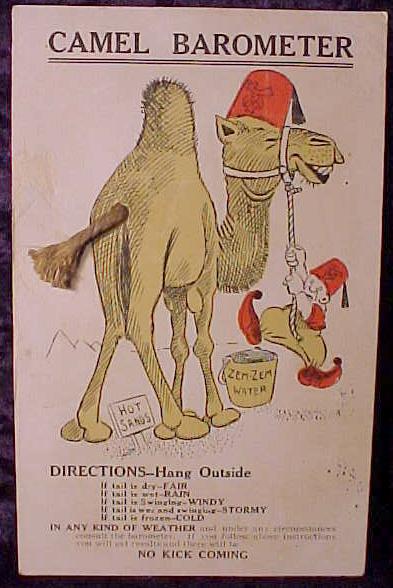 CamelBarometer1.jpg (44141 bytes)