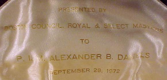CouncilApronAlex3.jpg (20031 bytes)