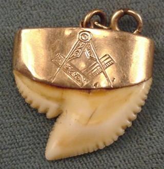 MasonicSharksTooth1.jpg (19332 bytes)